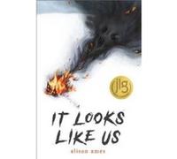 It Looks Like Us by Alison Ames Alison Ames (Auteur)
