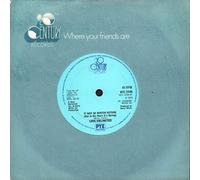 It May Be Winter Outside - Solid