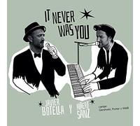 It Never Was You [Import]