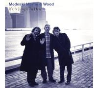 Martin Medeski & Wood – It's a Jungle in Here – Vinyle LP