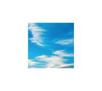 Thirty Seconds To Mar it's the end of the world but it's a beautiful da (Vinyl)