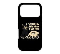 It Was Like This When I Got Here Chat Humour Coque pour iPhone 17 Pro