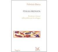 Italia Frenata. Paradossi E Lezioni Della Politica Per Lo Sviluppo