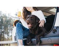 Italian Bed Linen COPRISEDILE-NERO-140x147cm Housse de siège Auto Noir, 140x147cm