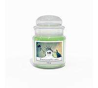 Italian Bed Linen MB Home Basic Bougies, Freedom Flames, 410 grammes