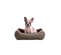 Italian Bed Linen SOGNI E CAPRICCI Pets, Chenil pour Chiens et Chats, Beige, 44 x 34 x h15 cm