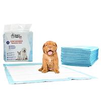 Italian Bed Linen Tapis Absorbant pour Animaux de Compagnie, Neutre, 1 Sachet (10 pièces)