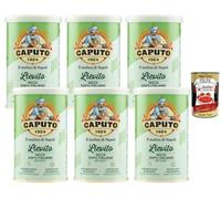 Italian Gourmet Bundle levure sèche italienne 6 x 100 g, levure boulangère à haute activité, dosage 1/3 vs levure fraîche, idéale pour pizza pain focaccia pâtes levées, fabriquée en Italie