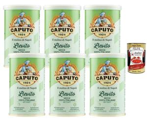 Italian Gourmet Bundle levure sèche italienne 6 x 100 g, levure boulangère à haute activité, dosage 1/3 vs levure fraîche, idéale pour pizza pain focaccia pâtes levées, fabriquée en Italie