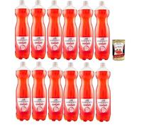 Italian Gourmet Bundle San Benedetto Ginger 12×1,5 L - Boisson gazeuse au gingembre - Format Familial Maxi Stock - Grandes Bouteilles PET Rafraîchissant Idéal Apéritif & Mixers + Italian Gourmet polpa