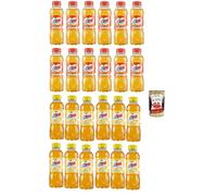 Italian Gourmet - Mélange de thé glacé pêche et citron 24 × 400 ml | Infusion de thé rafraîchissante, idéale pour l'école, le bureau, le sport, les voyages et les boissons d'été + Italian Gourmet