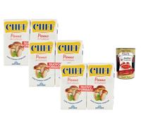 Italian Gourmet Panna Chef Crème de cuisson aux champignons porcini 3 x (2 x 125 ml) - 6 briques de sauce crème aux cèpes, onctueuse et prête à l’emploi pour pâtes, risotto + Italian Gourmet Polpa