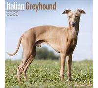 Italian Greyhound Calendar 2020 by Avonside Publishing Ltd Avonside Publishing Ltd (Auteur)