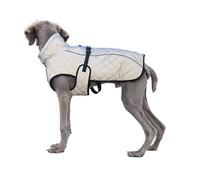 Italian Greyhound Windproof Coat Jacket Whippet Vest Large Dogs Cotton Medium Dog Clothes(M)