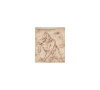 Italian Master Drawings From The Princeton University Art Museum