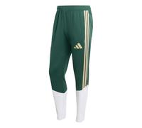 Adidas Pantalon de sport FIGC TR PNT vert / vert pastel / blanc Taille L