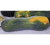 Italie d'antan Lunga di Napoli Naples Long citrouille