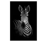 ITAWS Arts Décoratifs Posters, Animal Zèbre, 40X50 Sans Cadre Pour La Décoration De Salon À La Maison,Poster Muraux
