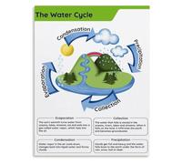 ITCLEYMDZV Freshwater Ecology Poster Water Cycle Science Display