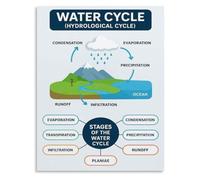 ITCLEYMDZV Freshwater Ecosystems Poster Water Cycle Education | Visual aid for NGSS ecology standards and life science(Framed,08x12inch(20x30cm))
