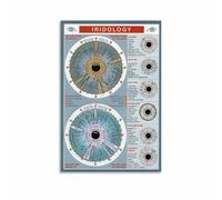 ITCLEYMDZV Human Eye Iris Diagram Poster - Iridology Chart for Alternative Medicine Reference, Educational Home Office Decor(Framed,08x12inch(20x30cm))