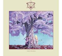 Iterum nata - Bardo disorder