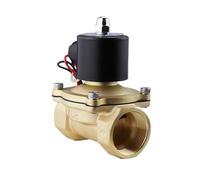 ITFOWIYD Électrovanne normalement fermée 2W025-08/2W040-10/2W160-15, vanne d'eau, vanne d'air 2 Minutes 3 Minutes 4 Minutes 6 Minutes 1 Pouce(2W500 50 All Copper AC220V)