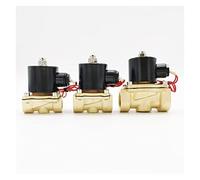 ITFOWIYD Vanne électrovanne électrique normalement fermée AC220V étanche à l'eau G3/8" G1/2" G3/4" G1 G1-1/4 G1-1/2 G2 DC12V 24V (spécification : 1-1/4", Tension : DC24V)(Dc24v,1.5 inch)