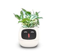 Itigoitie Pot de fleurs intelligent avec plusieurs expressions, 7 capteurs et puces AI, pot de fleurs intelligent pour un entretien facile des plantes dans le salon (blanc)