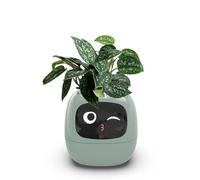 Itigoitie Pots de fleurs intelligents, pot de fleurs intelligent, pots de fleurs intelligents, expressions multiples, 7 capteurs intelligents et puces AI rendent l'élevage de plantes facile et amusant