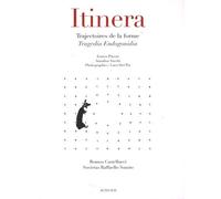 Itinera Enrico Pitozzi (Auteur), Luca Del pia (Photographie), Annalisa Sacchi (Auteur), Jean-louis Provoyeur (Traduction)