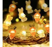 Itkcozcg Festival LED Intégré 50 Ampoules USB Charge pour Mantels Panier LED