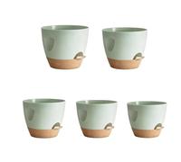 Itkcozcg Lot de 5 bols d'arrosage identité avec plateaux amovibles Structure d'irrigation automatique pour jardinage intérieur cultivateurs en polystyrène avec cavités effluentes