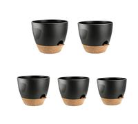 Itkcozcg Lot de 5 bols d'arrosage identité avec plateaux amovibles Structure d'irrigation automatique pour jardinage intérieur cultivateurs en polystyrène avec cavités effluentes