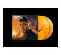 It'll All Make Sense In The End - Vinyle