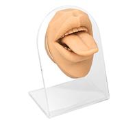 Itonash Modèle de Langue Humaine en Silicone, Modèle de Bouche Acrylique Réaliste pour L'Affichage des Bijoux avec une Aide aux Soins Infirmiers et une Pratique de Perçage des Ongles (Couleur de la