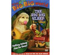 It's a Big Big World - Big Sleep