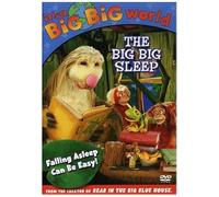 Its A Big Big World - The Big Big Sleep