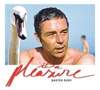 Baxter Dury – It's a Pleasure – CD – Digipak