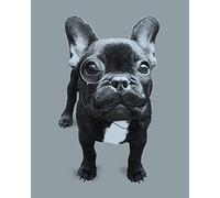 It's A WildLife Francoise Impression sur Toile 40 x 50 cm Polyester Multicolore 40 x 50 x 3,2 cm