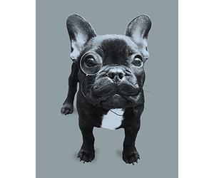 It's A WildLife Francoise Impression sur Toile 40 x 50 cm Polyester Multicolore 40 x 50 x 3,2 cm