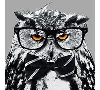 It's A WildLife Monty Impression sur Toile 40 x 40 cm, Polyester, Multicolore, 40 x 40 cm