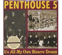 It's All My Own Bizarre Dream (LP, 180g Vinyl)