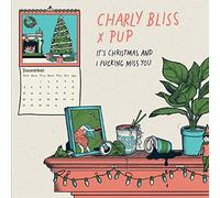 It's Christmas and I Fucking Miss You