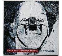 It's Immaterial - Life's Hard And Then You Die