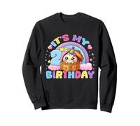 It's My 2nd Birthday Girl Kawaii Dumpling Pastel Esthétique Sweatshirt