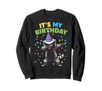 It's My Birthday Dabbing Honey Badger Groovy Rainbow Vibes Sweatshirt