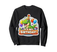 It's My Birthday Party Trex Dinosaure Kids Dinosaure Boys Sweatshirt