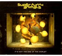 It's Not End of The World [Import]