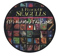 (It's Not Me) Talking